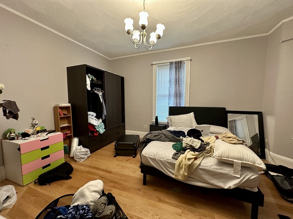 51 Rindge Ave, North Cambridge