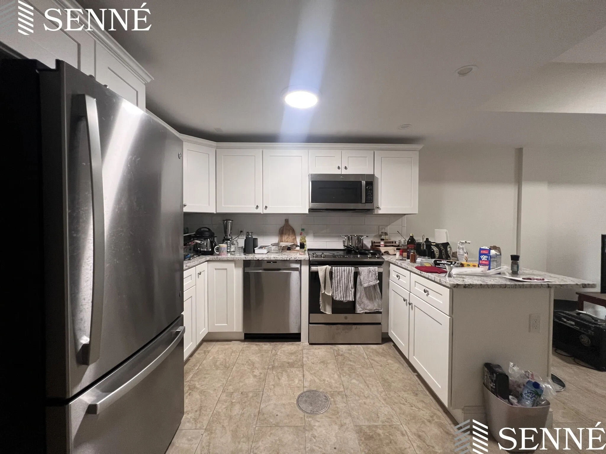 3 Linnaean St, Neighborhood Nine