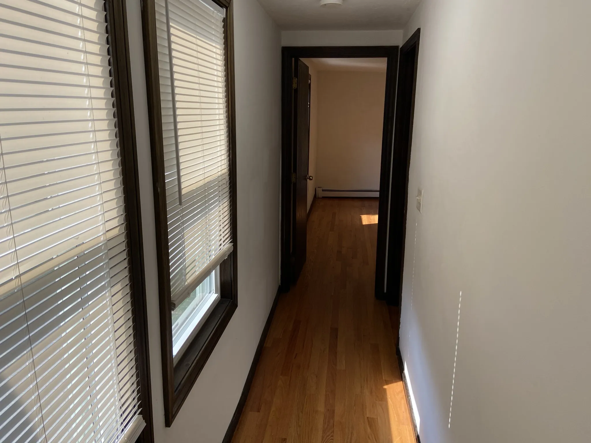 8 Shepard St, Brighton