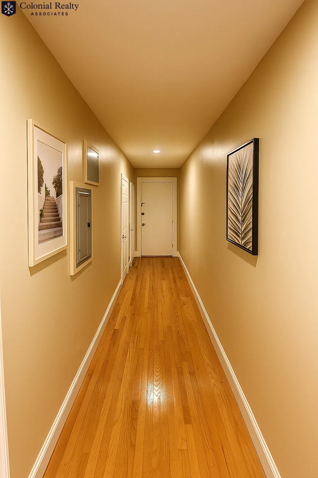 60 Egmont St, North Brookline