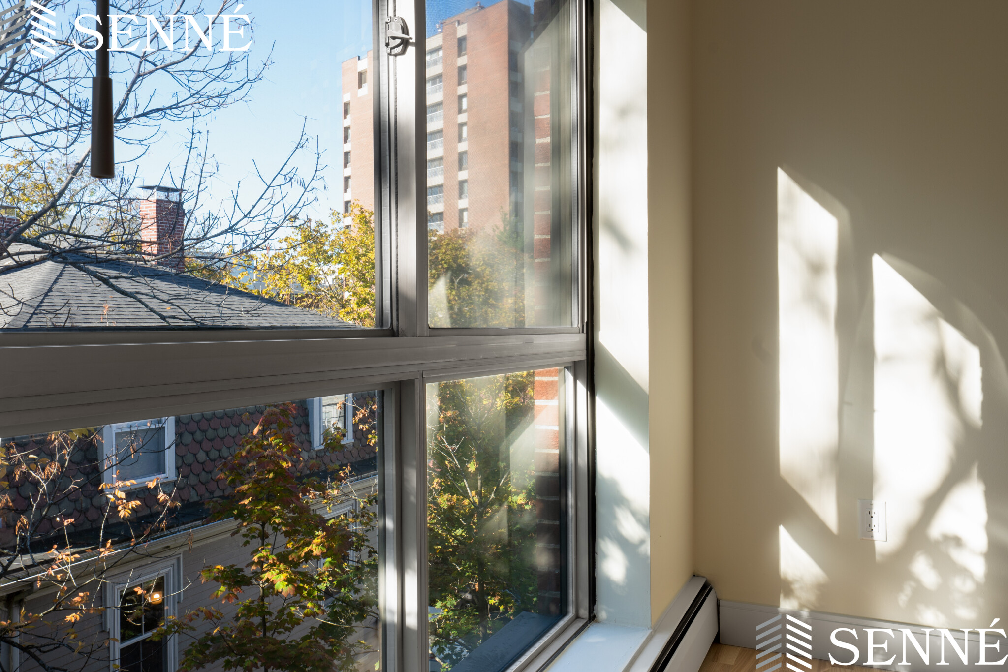 16 Trowbridge St, Harvard Square