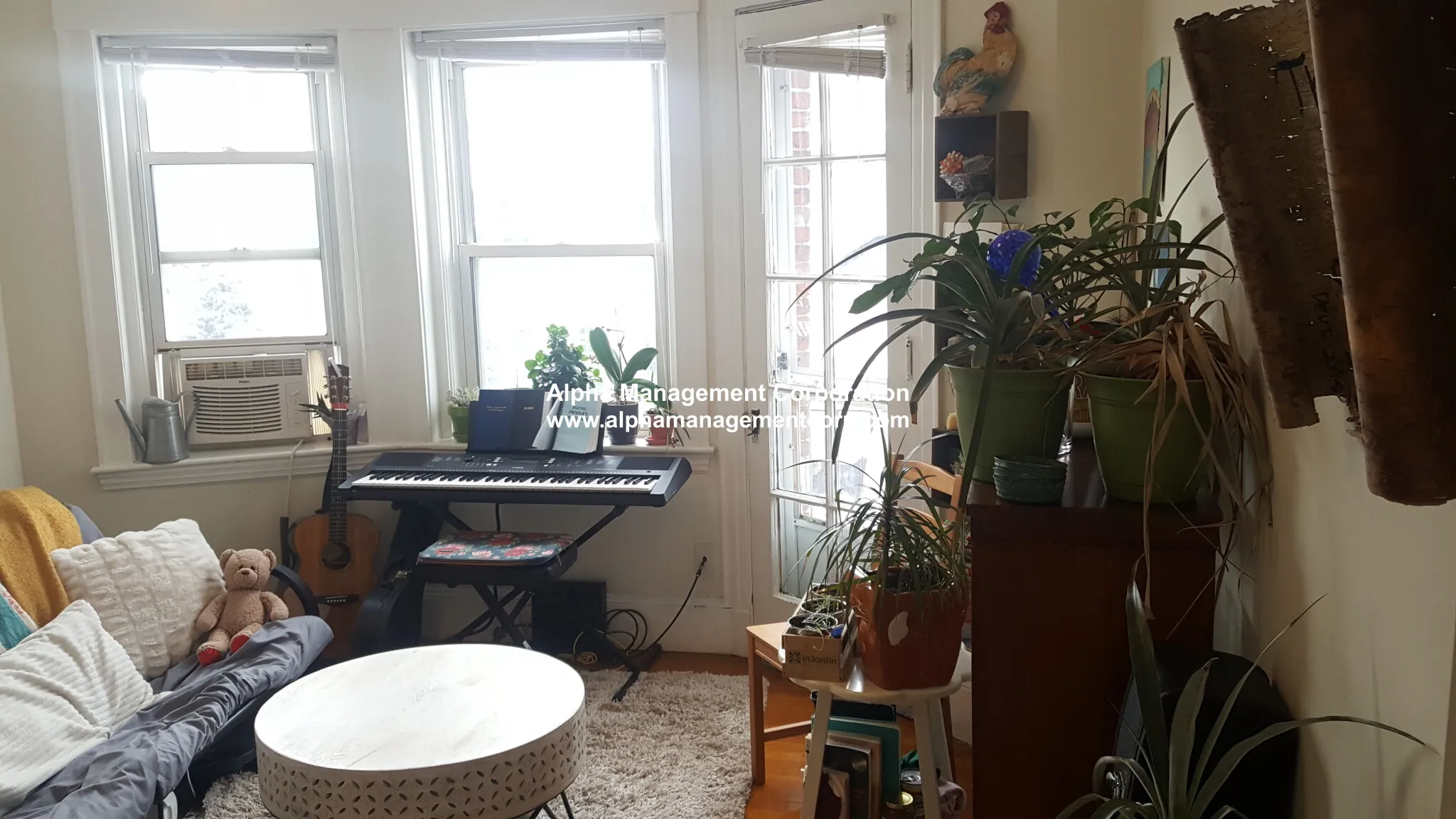 163 Summer St, Spring Hill