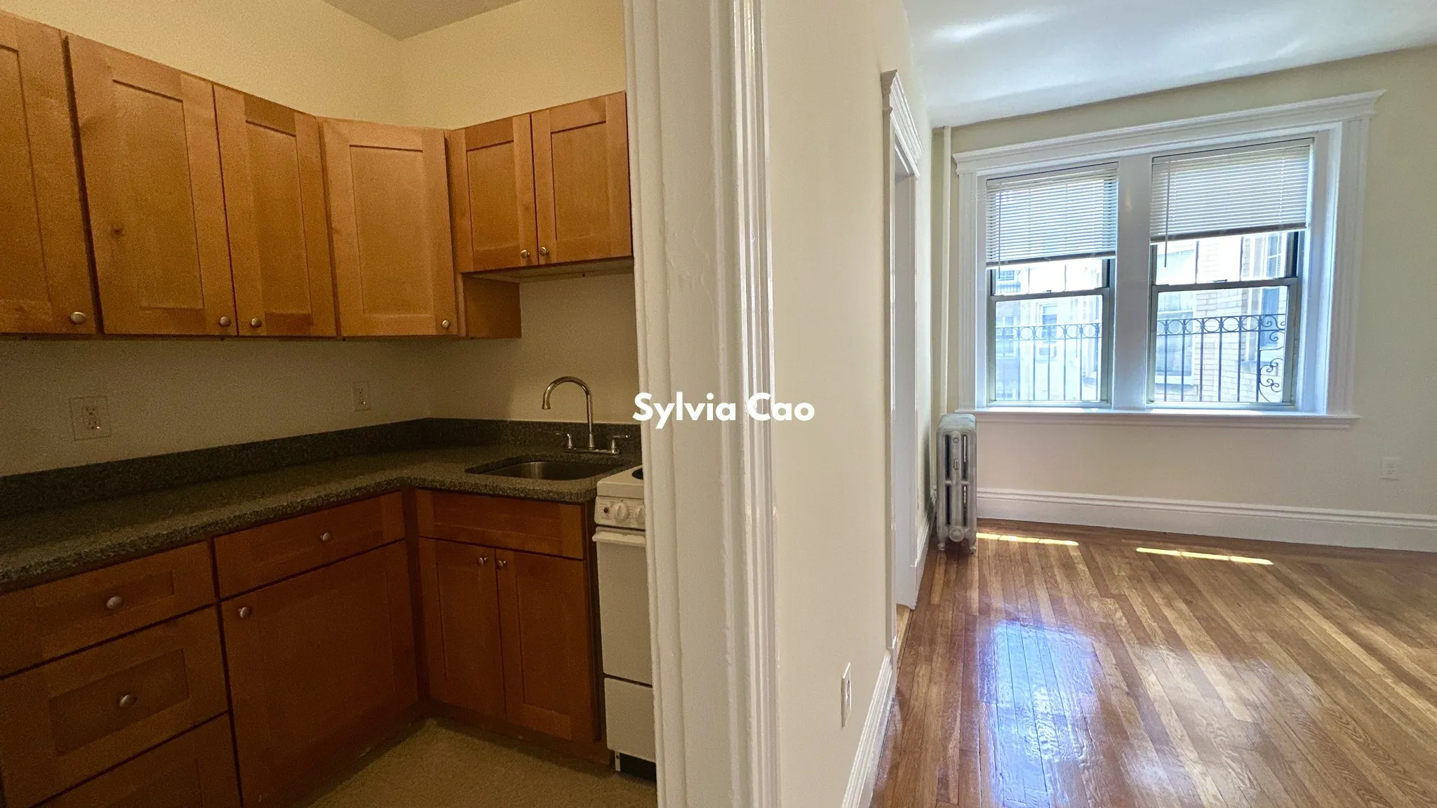25 Park Dr, Fenway