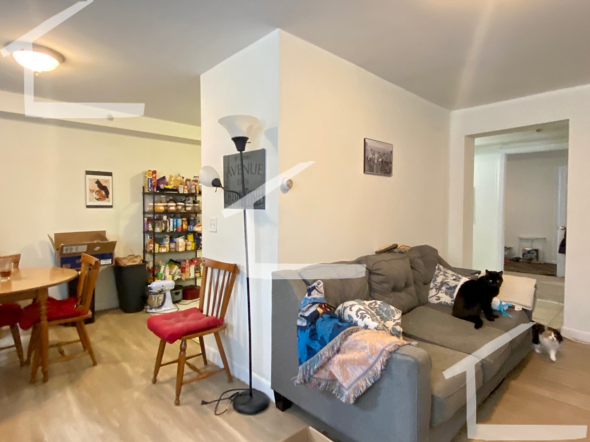 8 Griggs St, Brighton