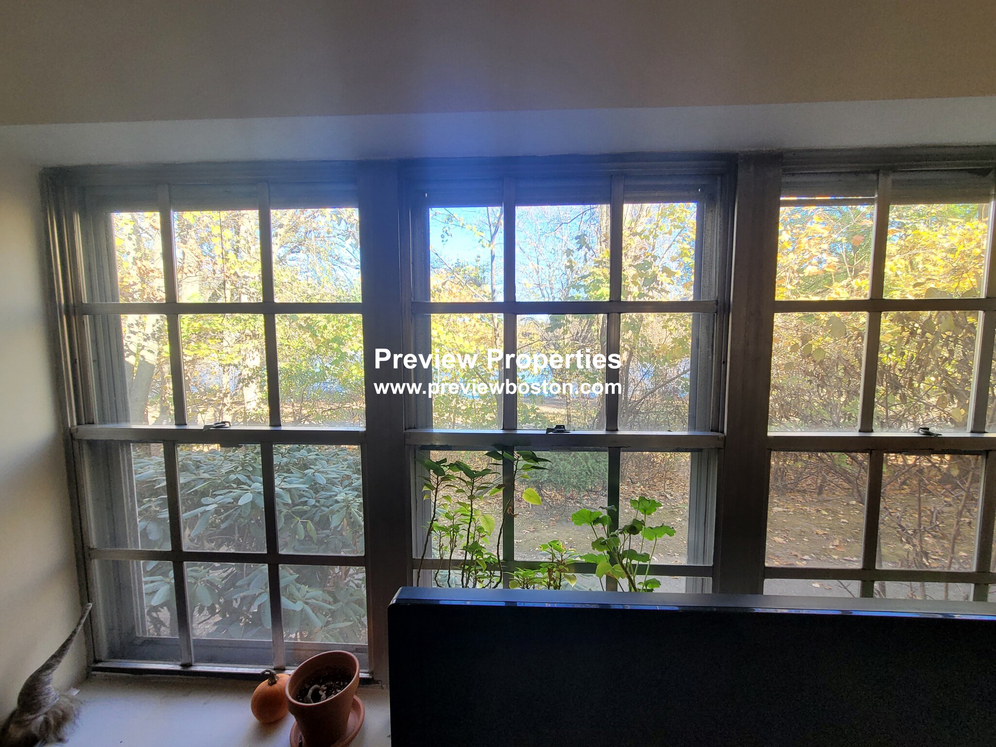 103 Lake Shore Rd, Oak Square