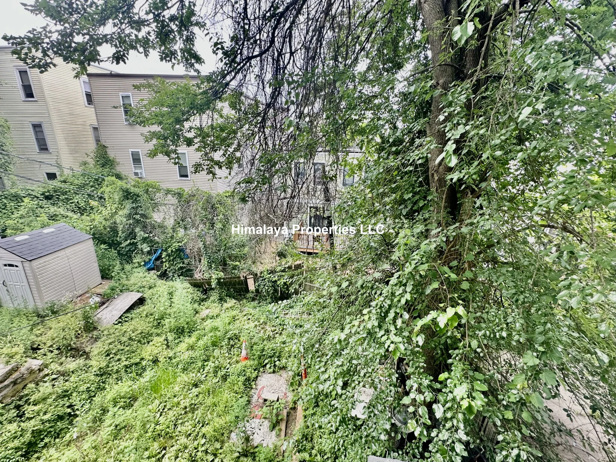 5 Sachem St, Mission Hill