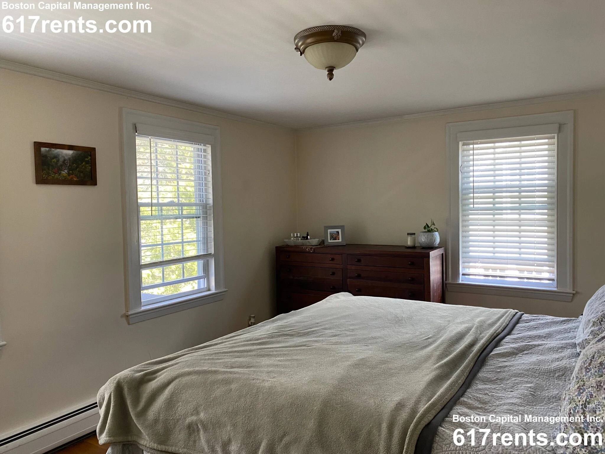 22 Cleveland Rd, Wellesley