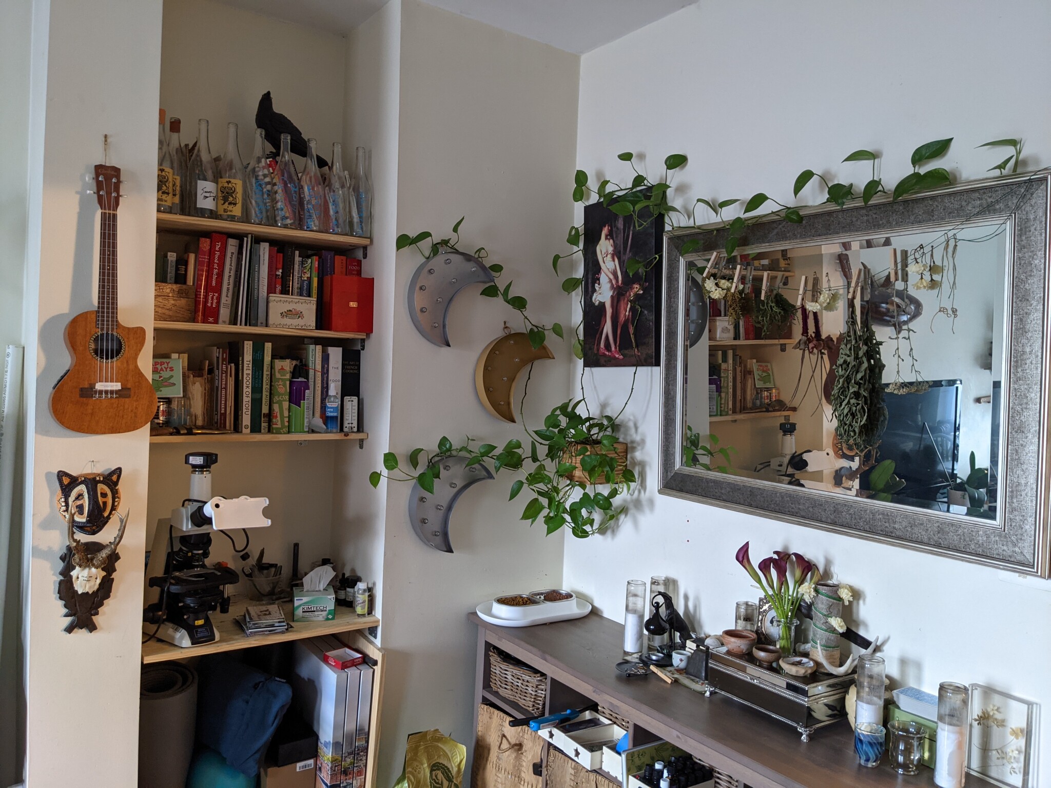 27 Park St, Ward Two