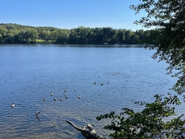 86 Margin St, Haverhill