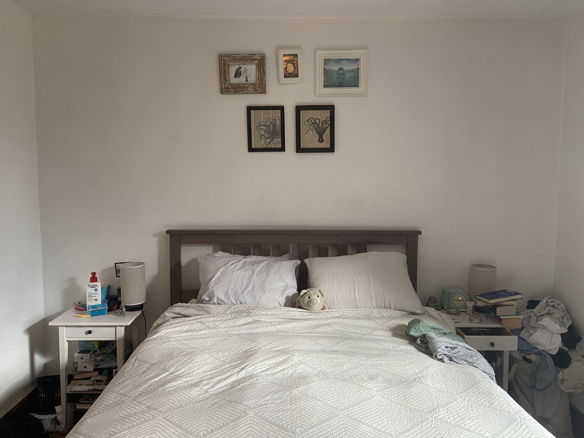 16 Montgomery St, North Cambridge