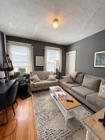 256 Corey Rd, Brighton