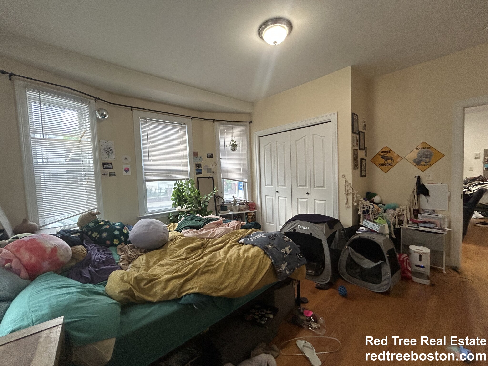 20 Armstrong St, Jamaica Plain