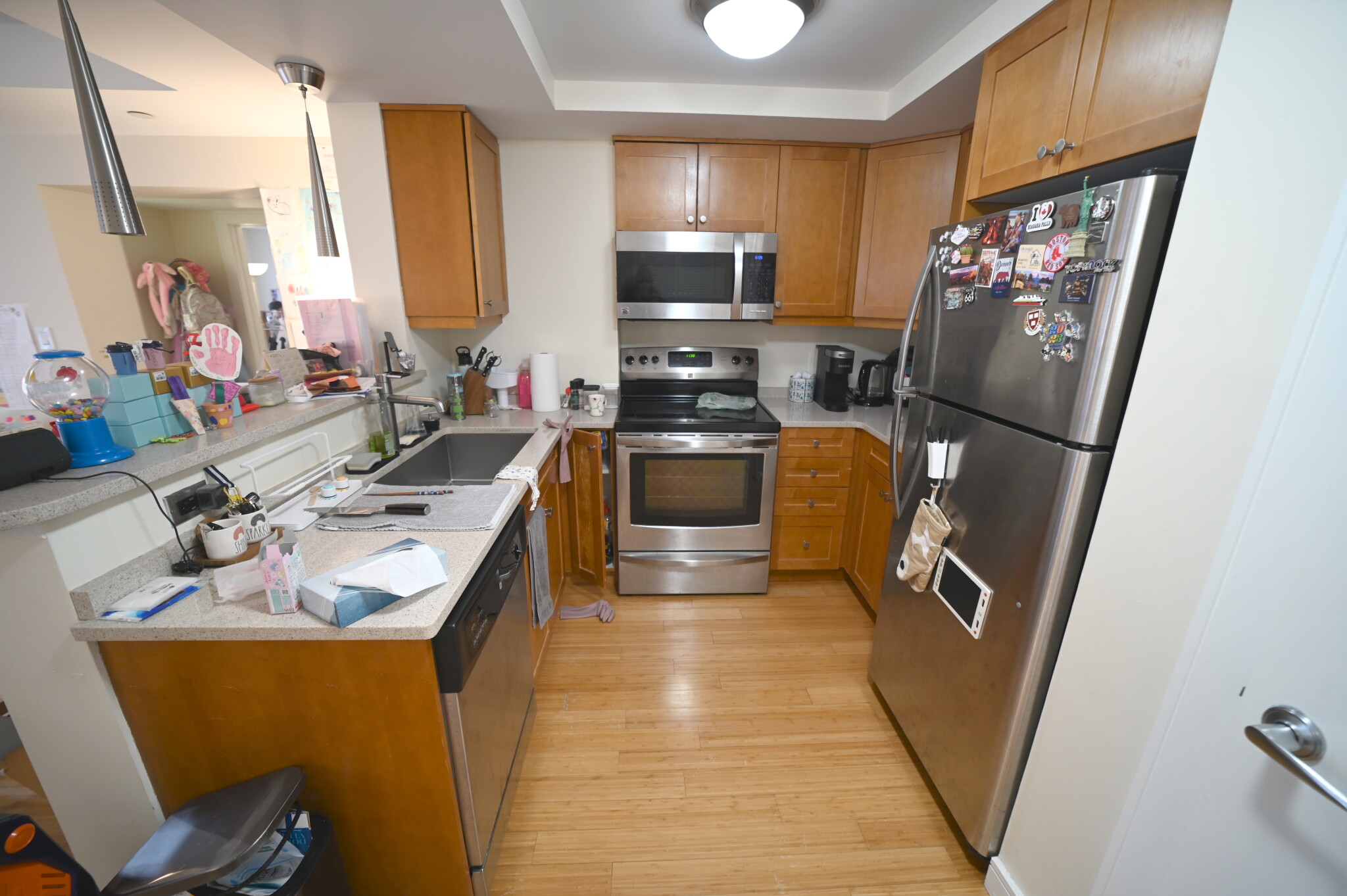 77 Marion St, Coolidge Corner