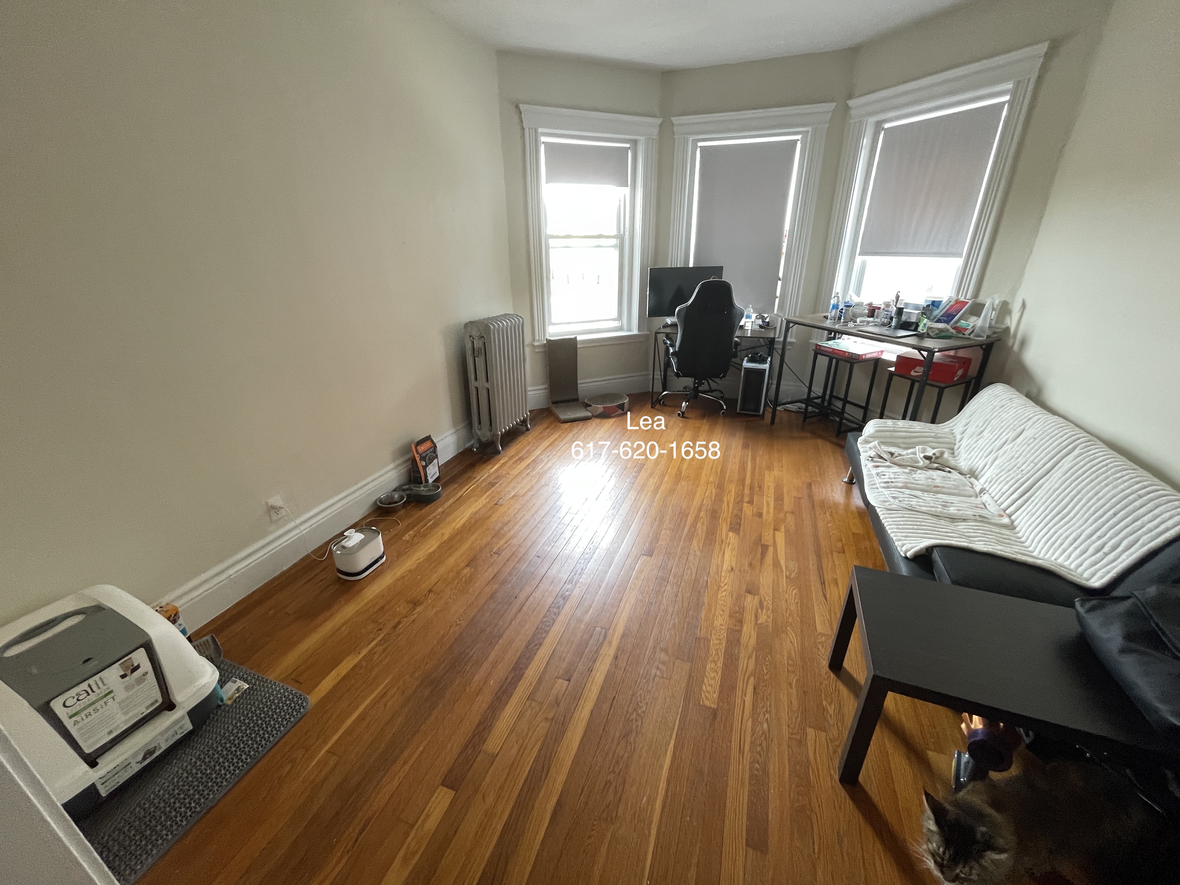 5 Walbridge St, Brighton