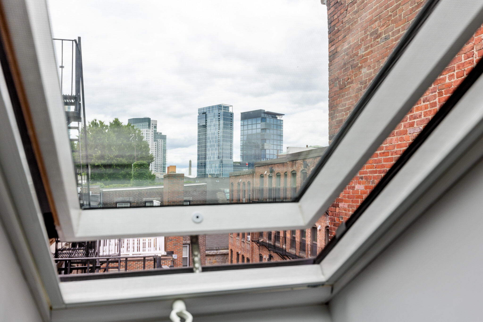 12 Derne St, Beacon Hill