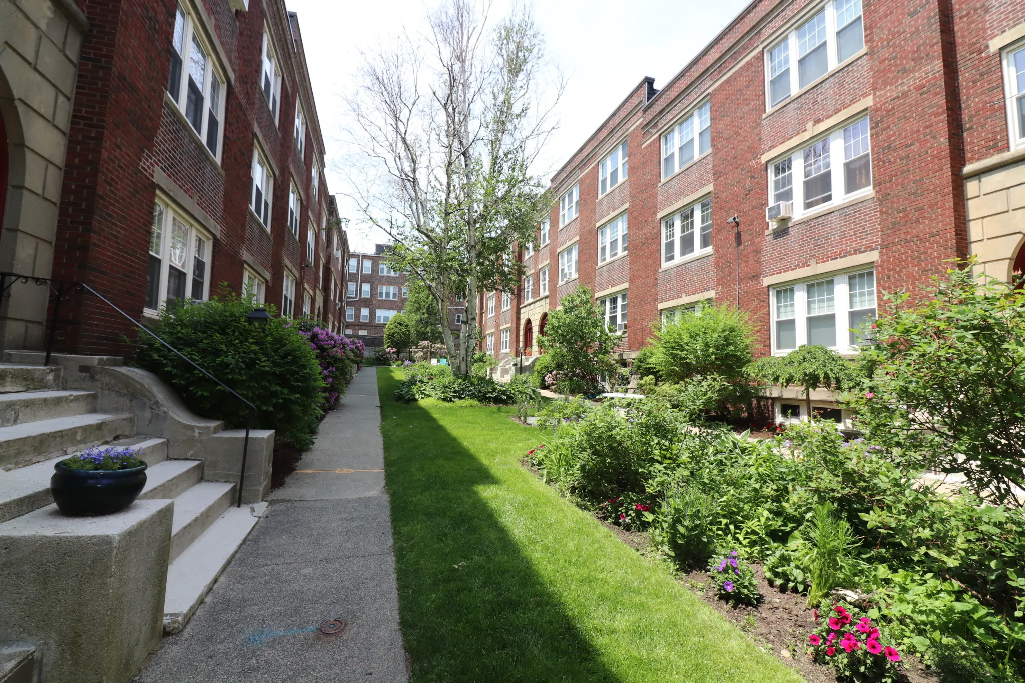 36 Saint Paul St, Coolidge Corner