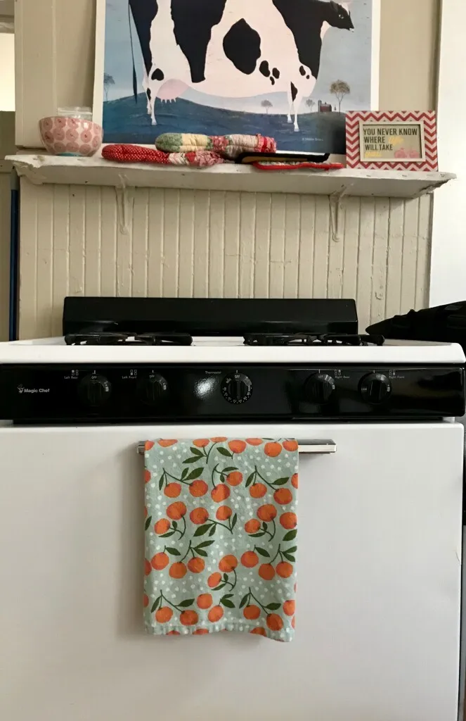 359 Windsor St, Wellington-Harrington