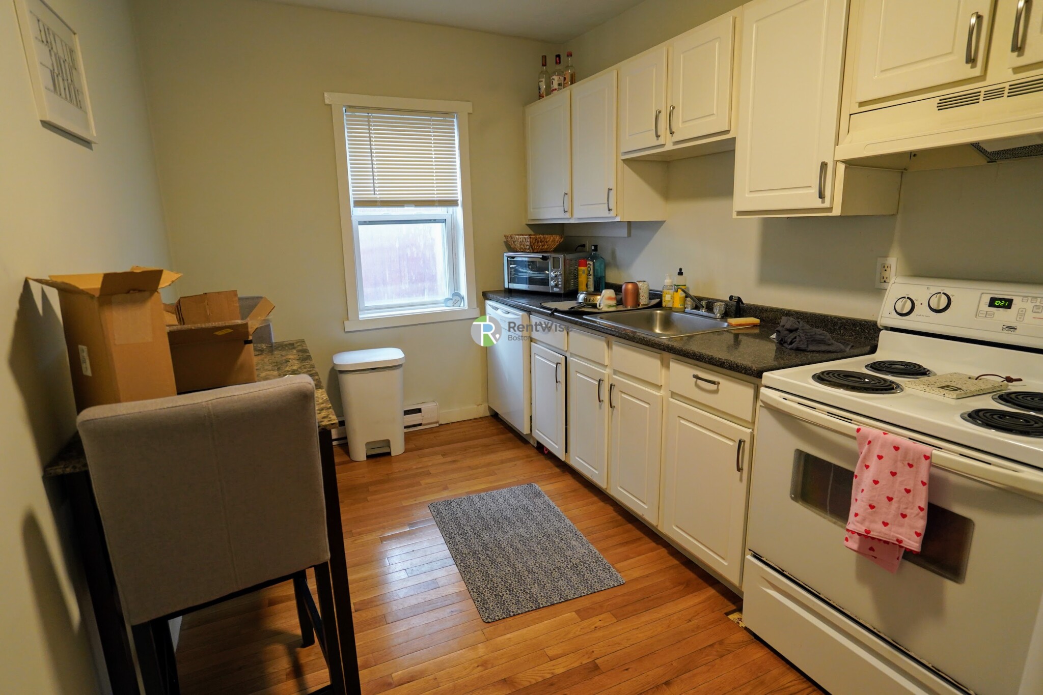 3 Schrepel Pl, South Boston