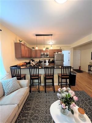 30 Gorham St, Davis Square