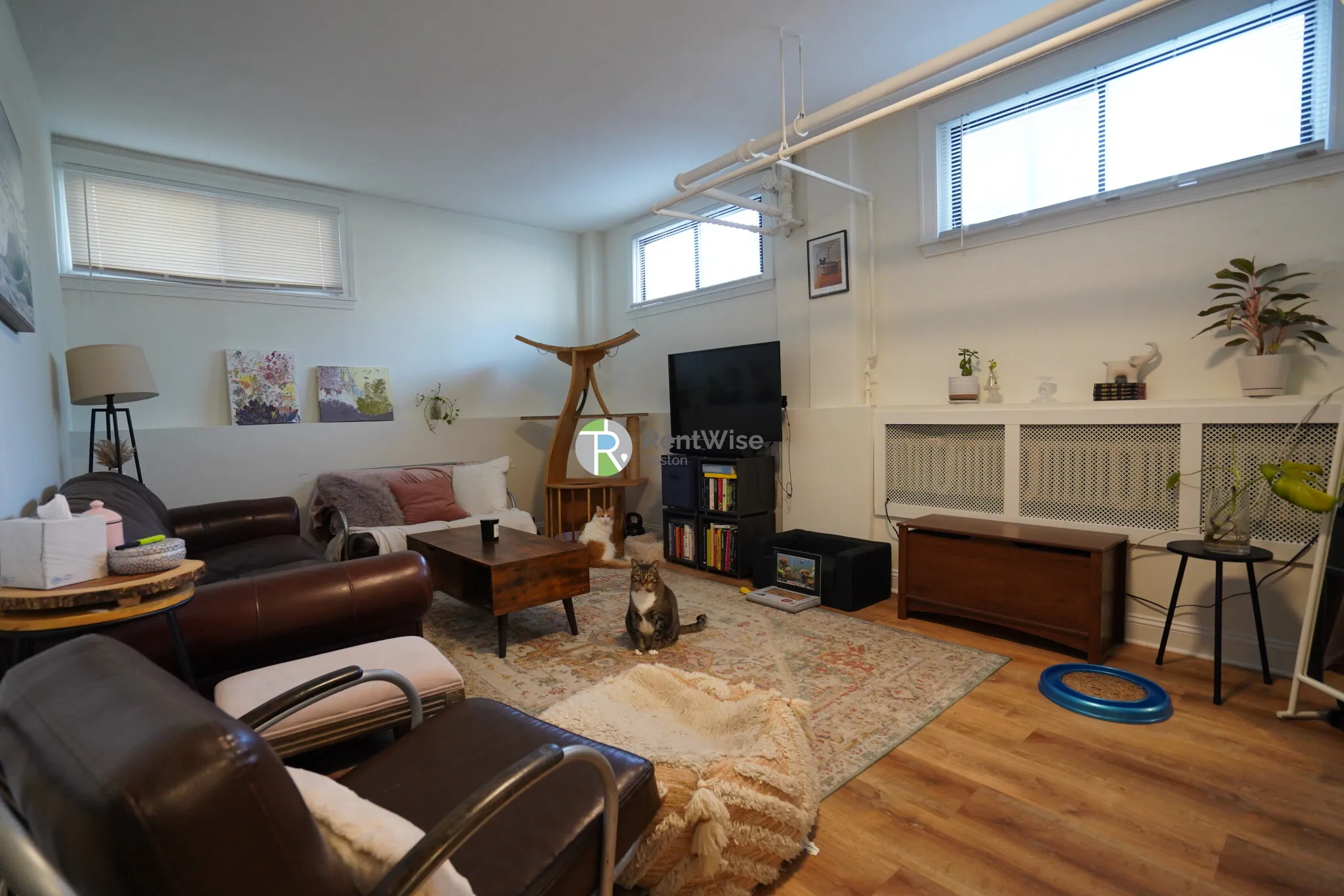 230 Walnut St, Newtonville