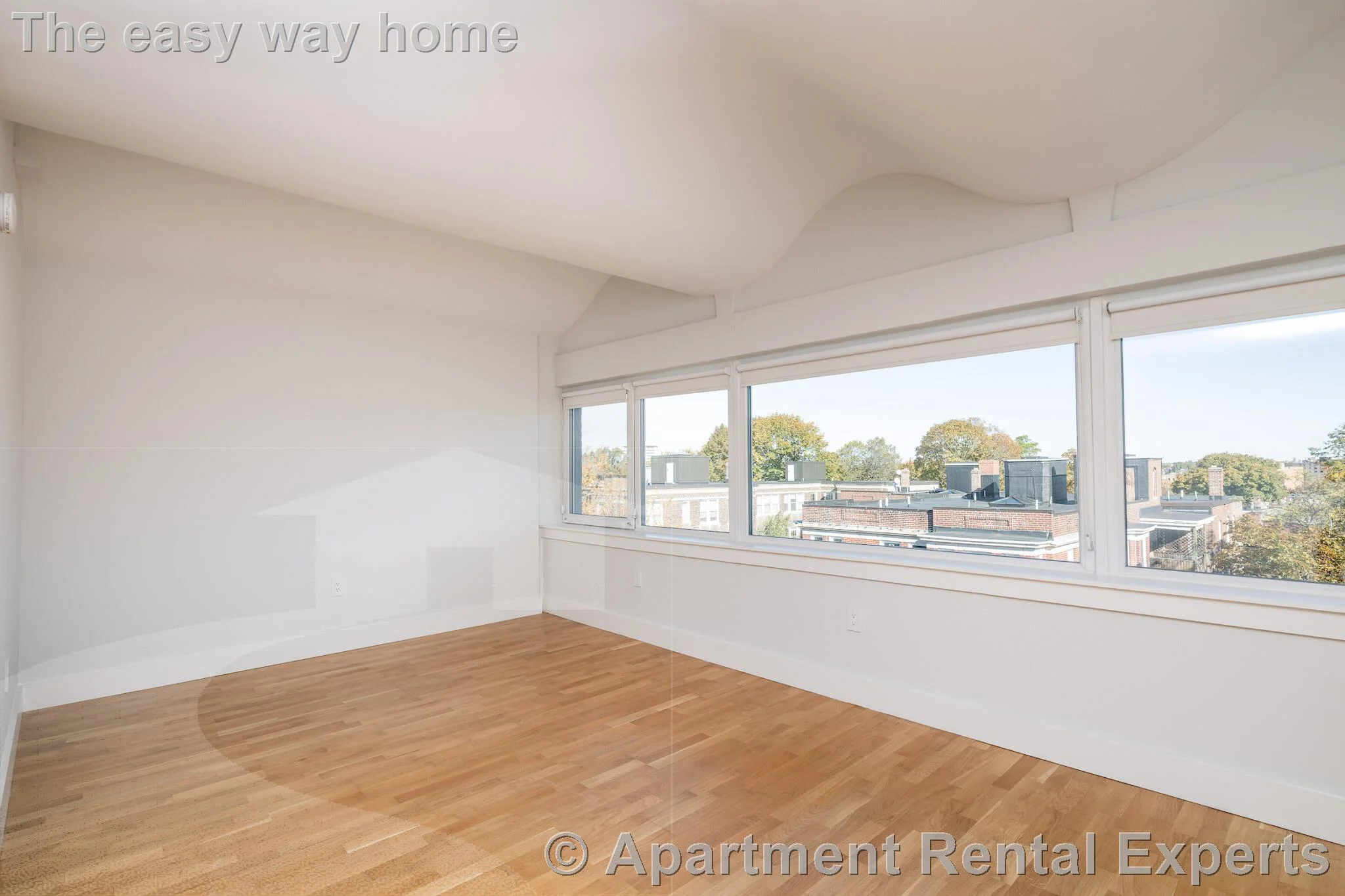 334 Harvard St, Harvard Square