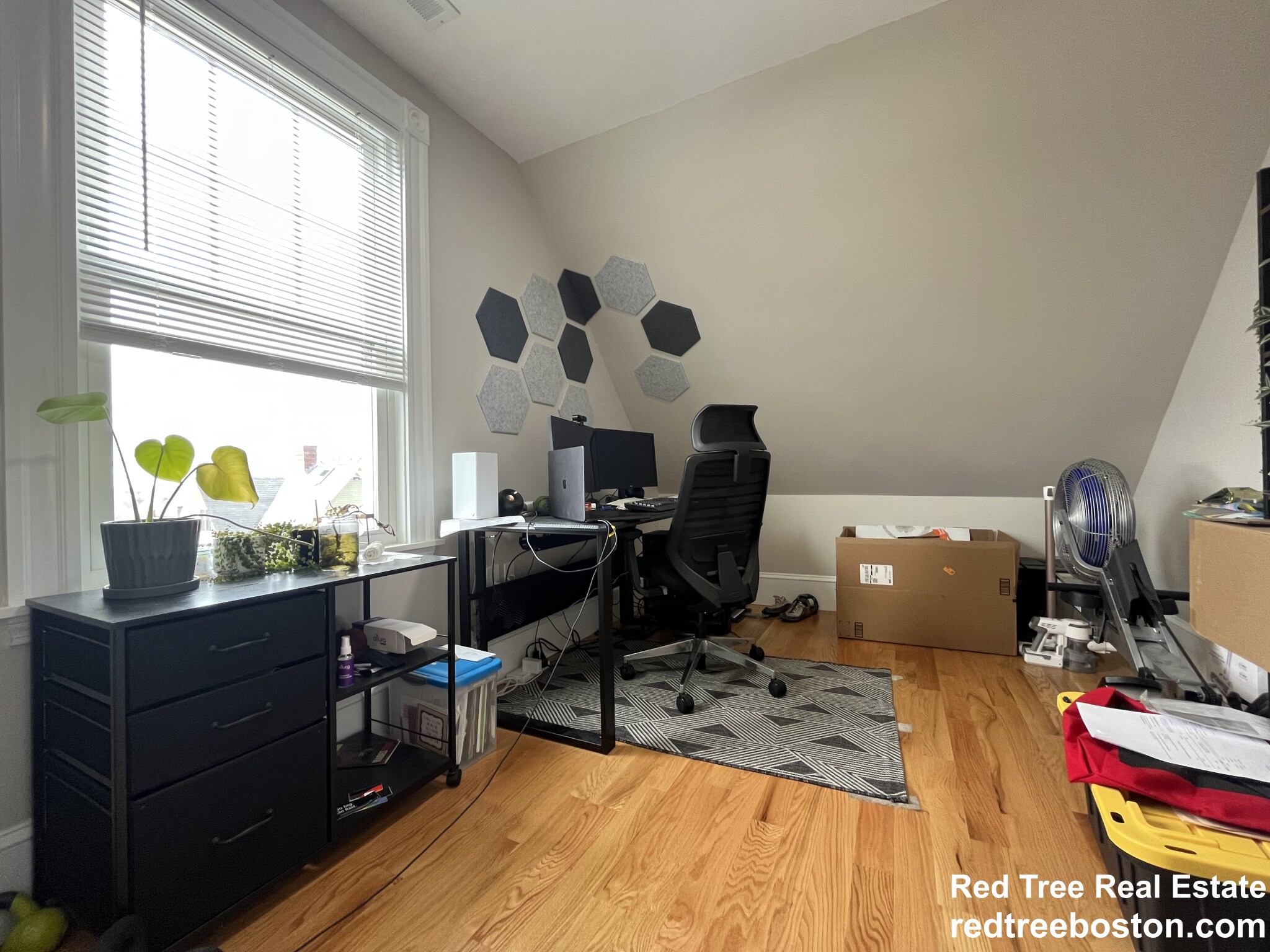 6 Primrose St, Roslindale