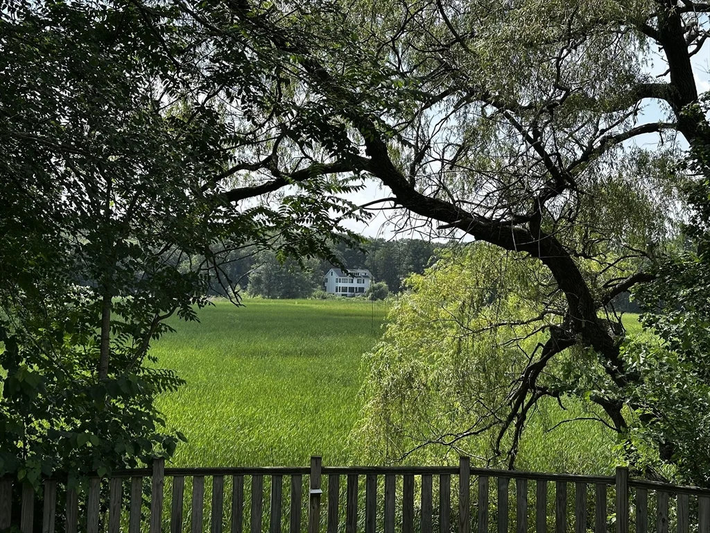 46 Sunset Rd, Needham