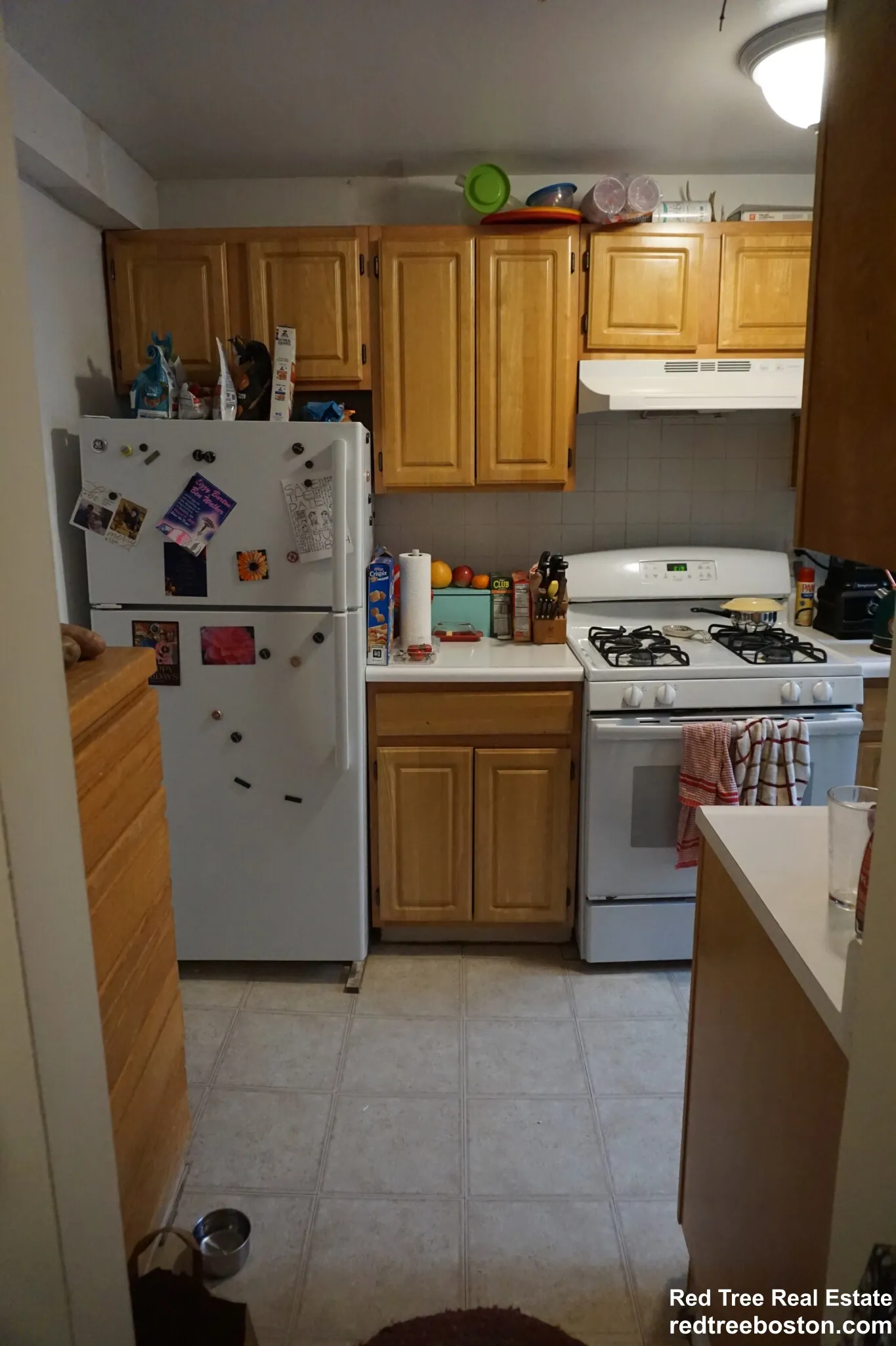 20 Colborne Rd, Brighton