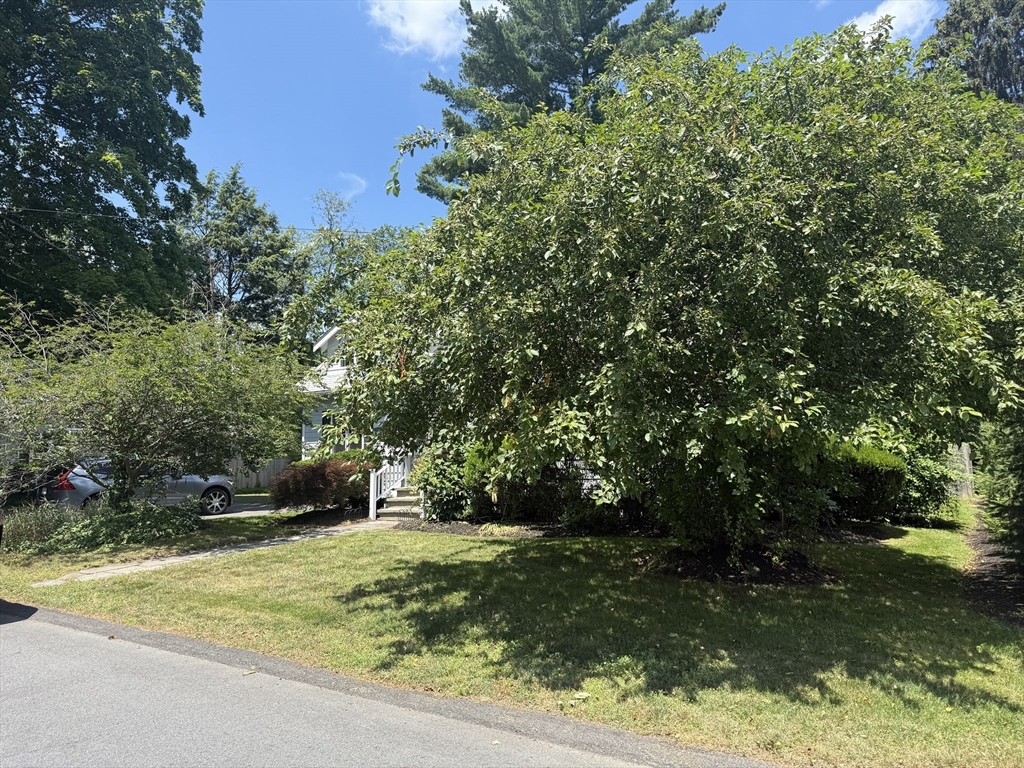 11 Durant Rd, Wellesley