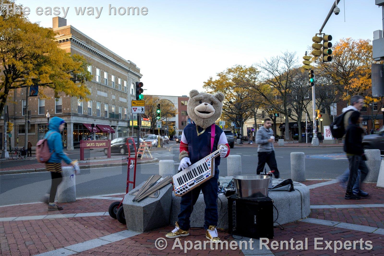 5 Clyde St, Davis Square