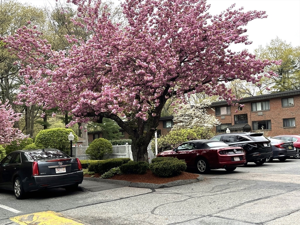 1323 Worcester Rd, Framingham