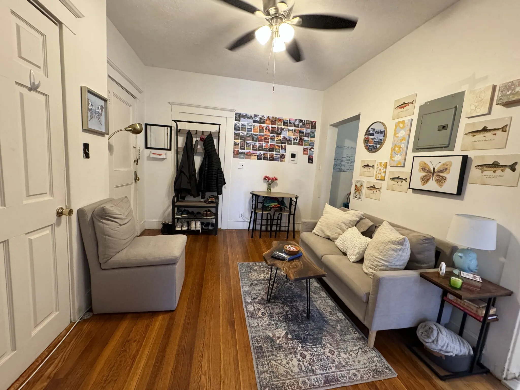 15 Scottfield Rd, Brighton