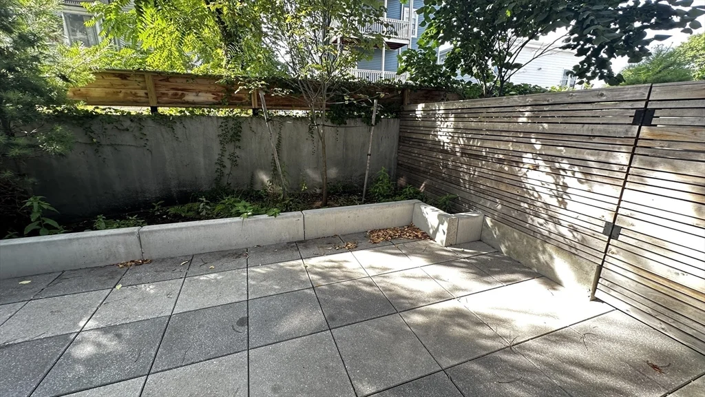 97 Elmwood, North Cambridge