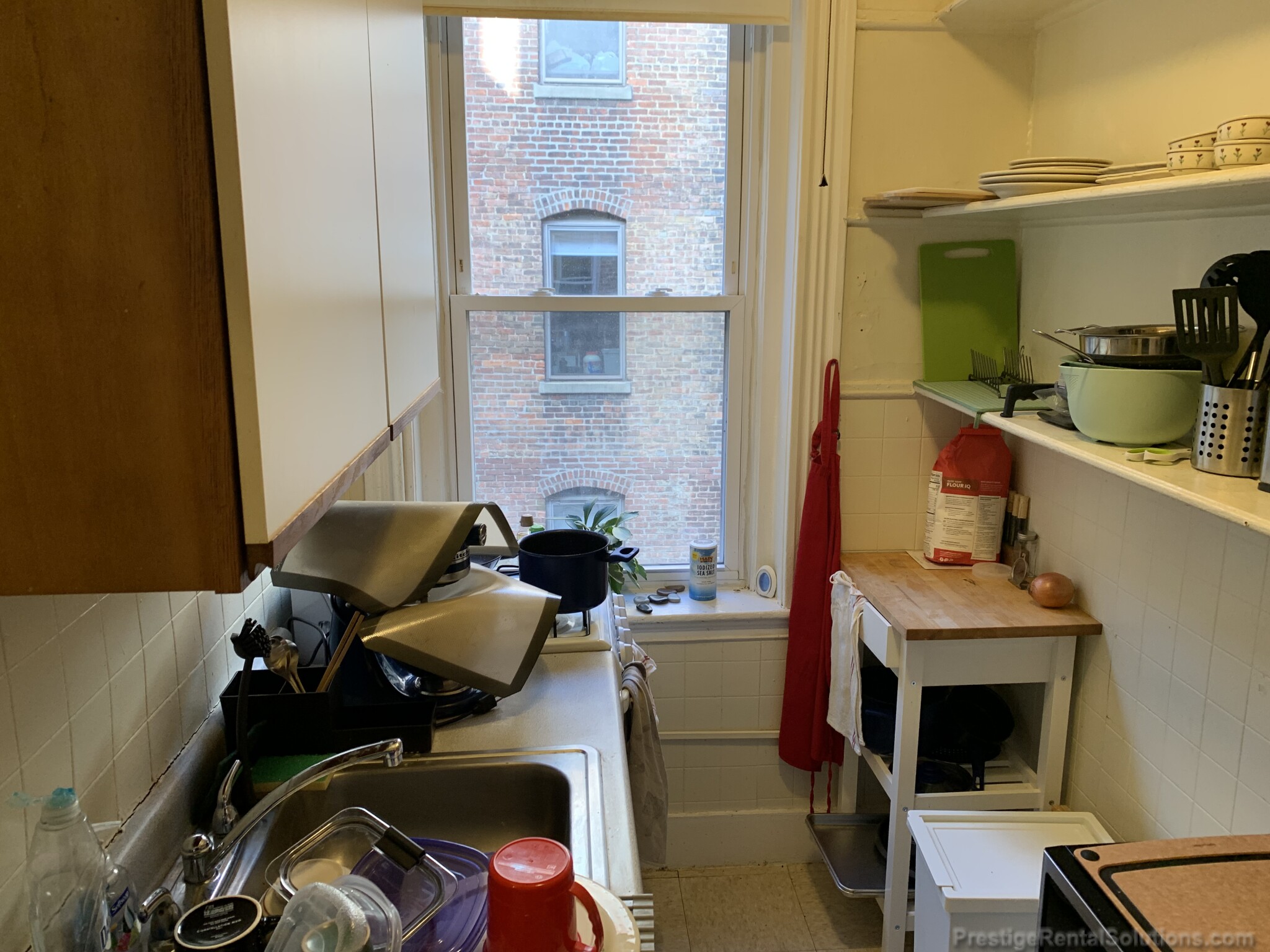 11 Royce Rd, Brighton