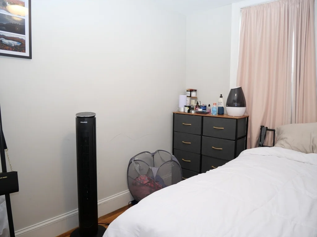 255 Paris, East Boston