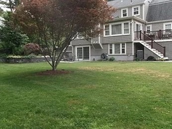 45 Wellesley, Belmont