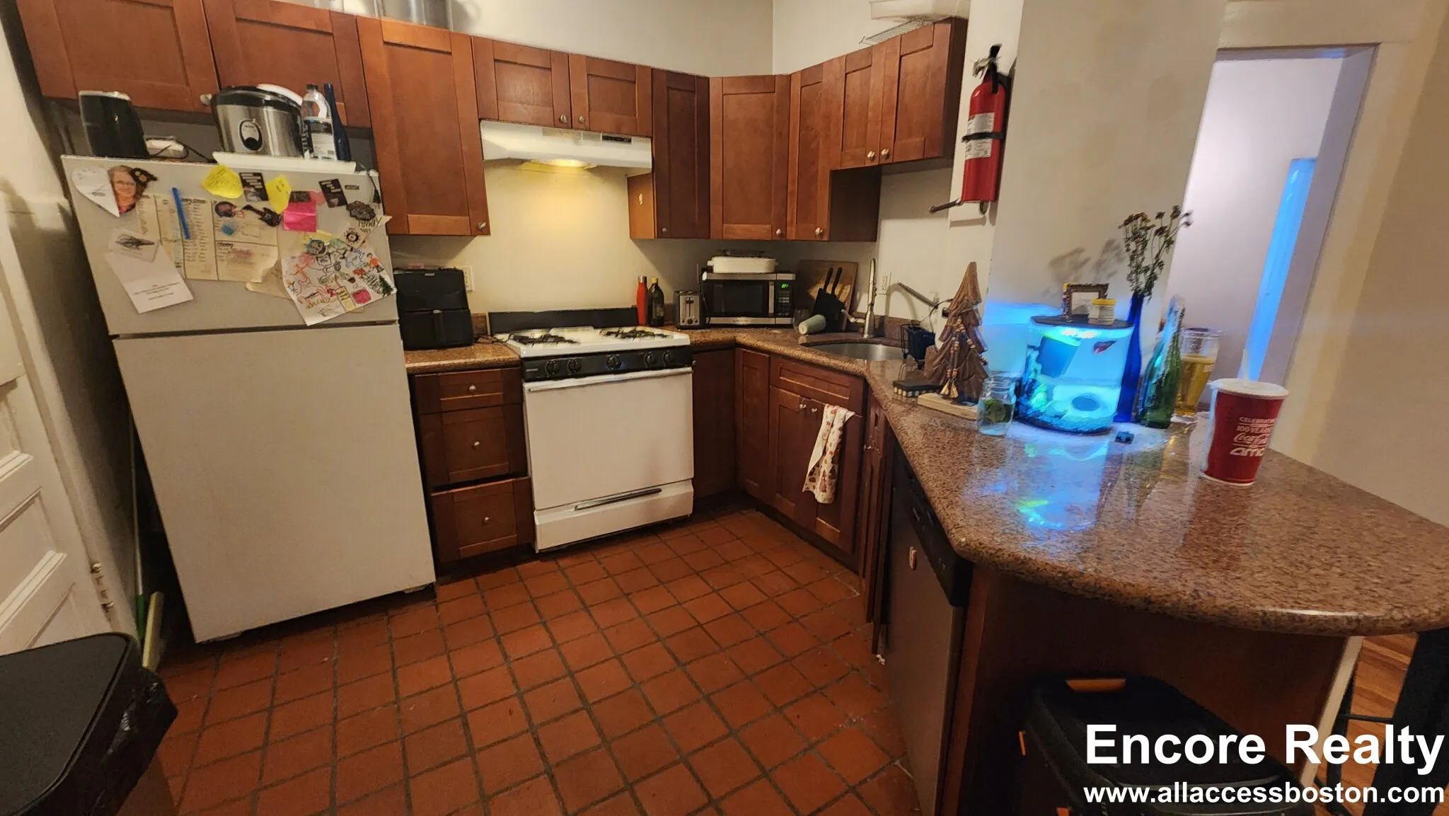 66 Egmont St, North Brookline