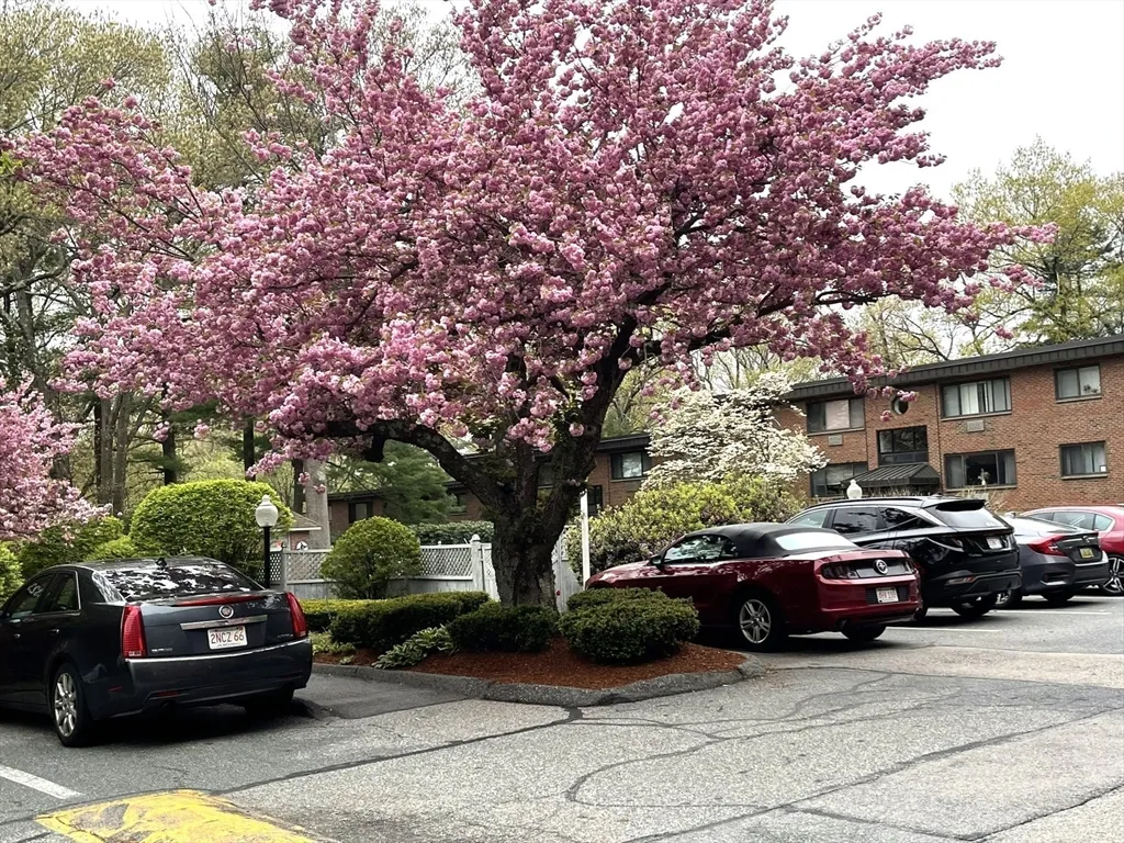 1325 Worcester Rd, Framingham