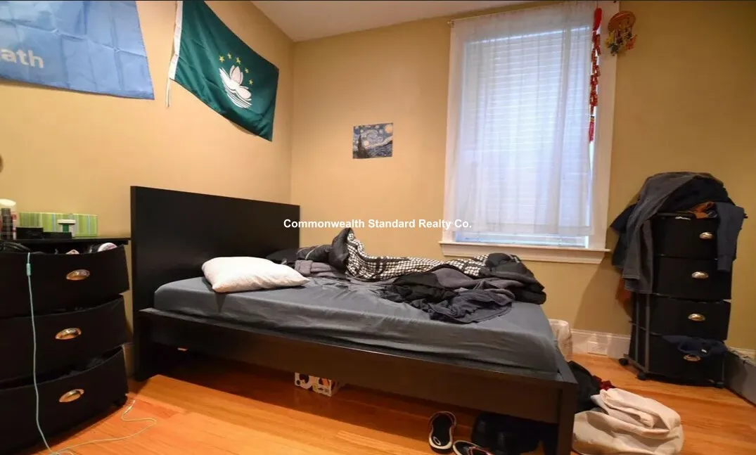 60 Egmont St, North Brookline