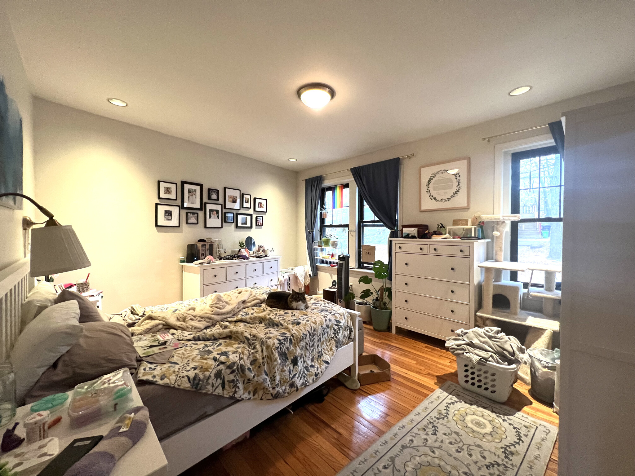 55 Lanark Rd, Brighton