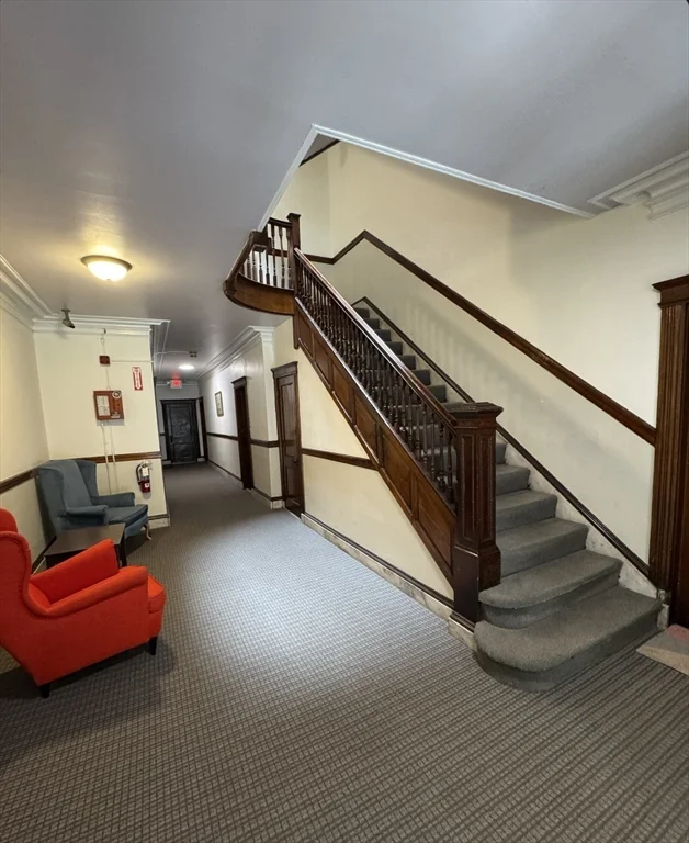 87 Gordon St, Brighton