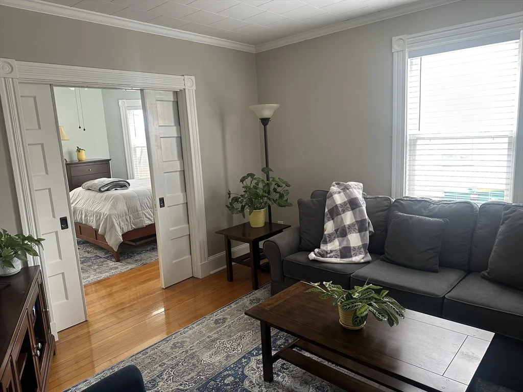 11 Crescent Ave, Norwood