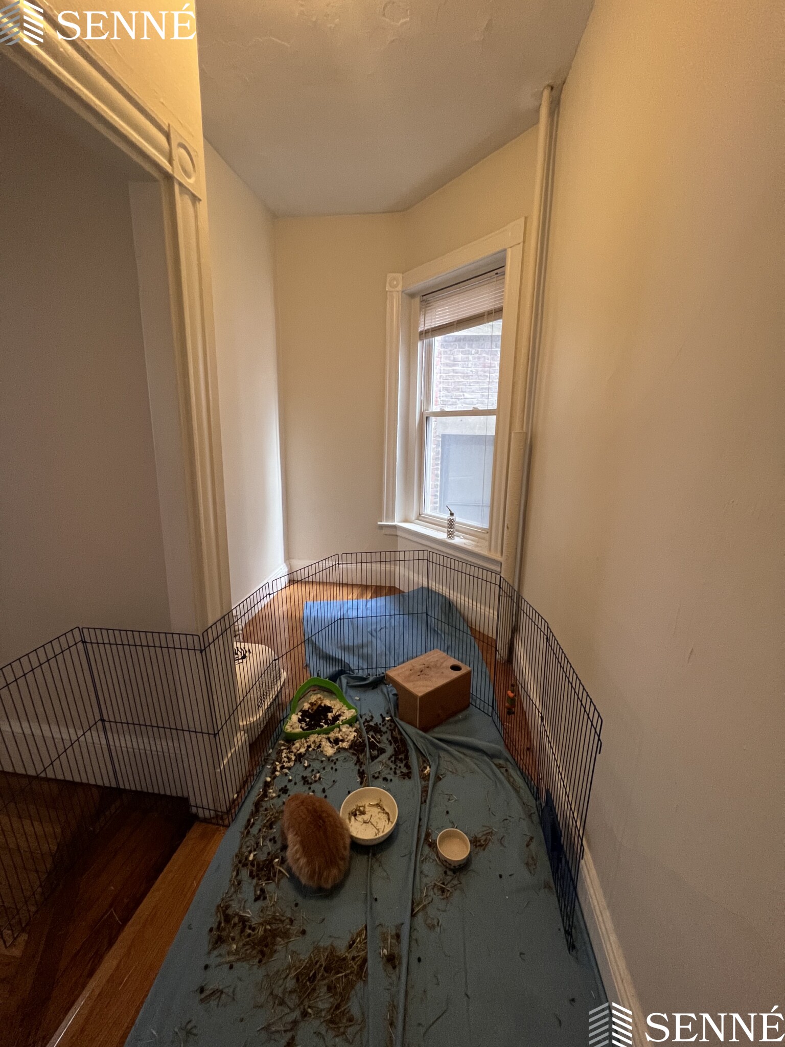 891 Massachusetts Ave, Mid-Cambridge