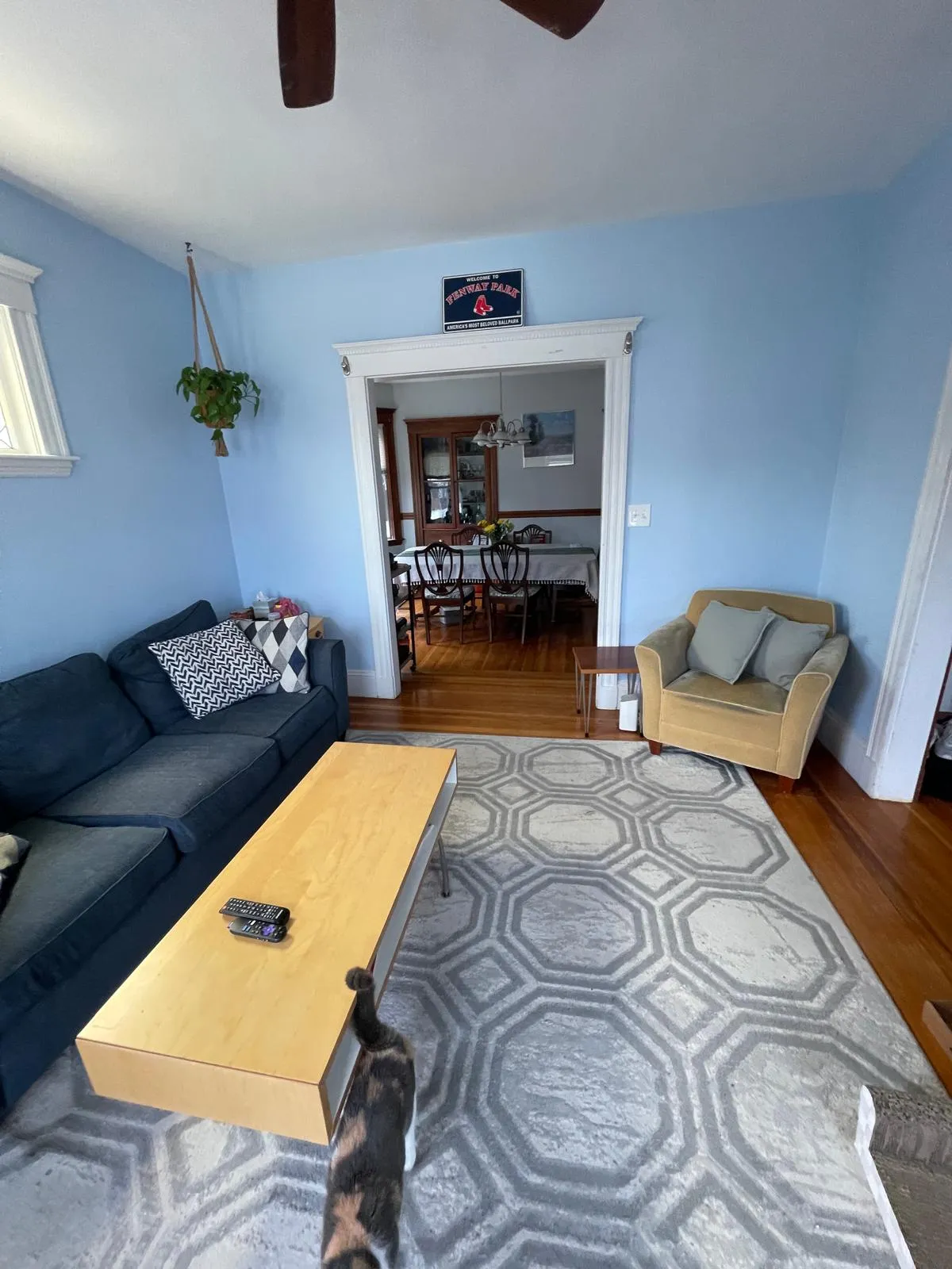 19 Mapleton St, Brighton