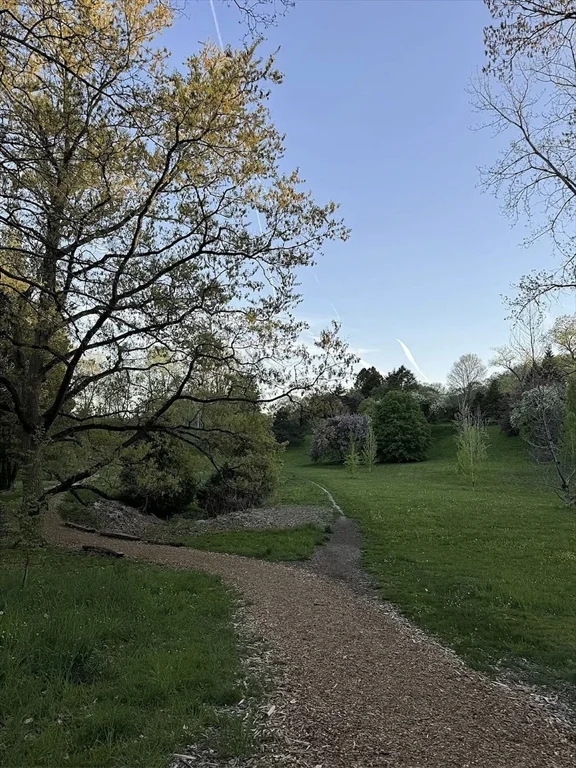 34 Colgate Rd, Roslindale