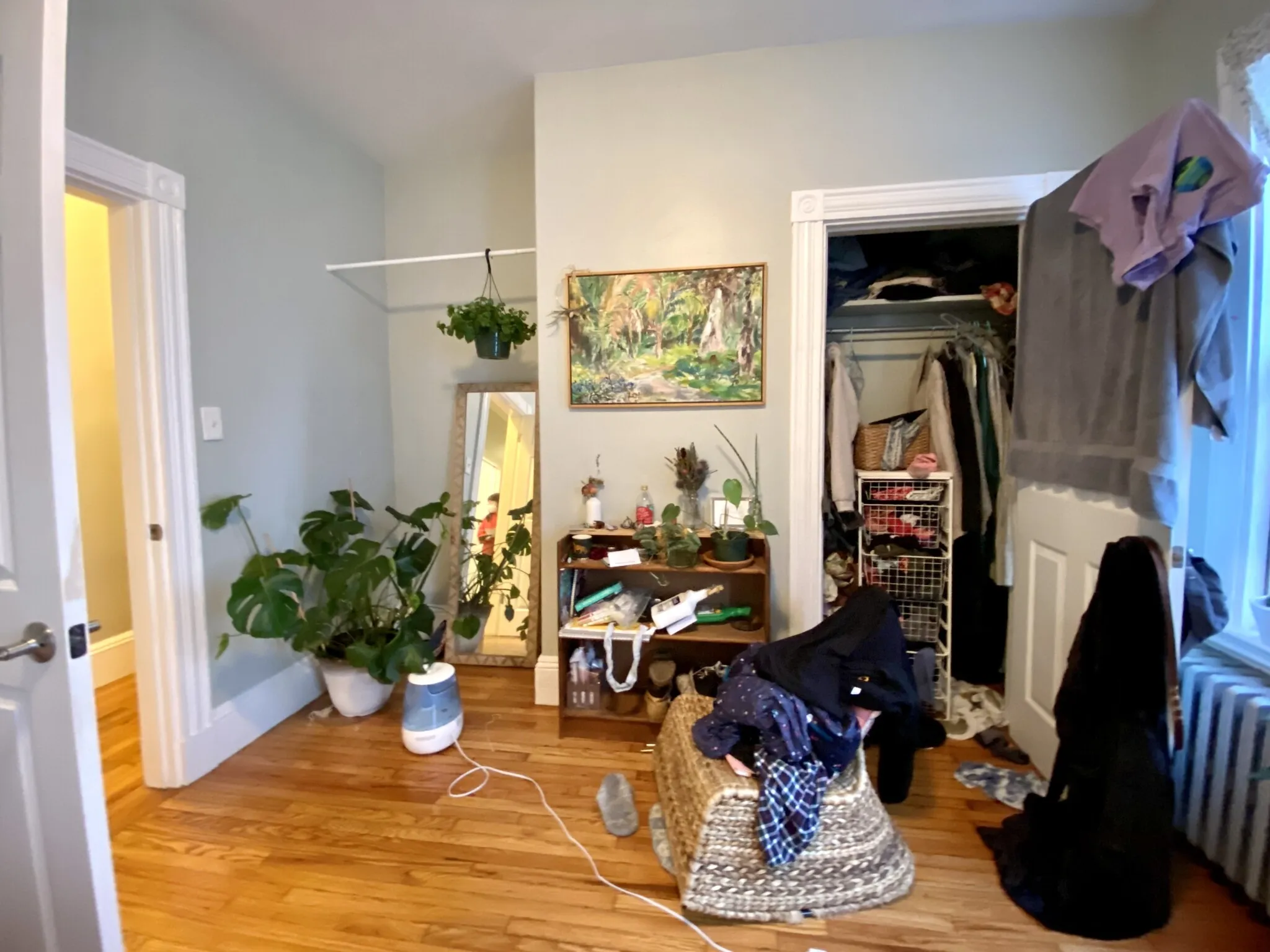 3 Oswald St, Mission Hill