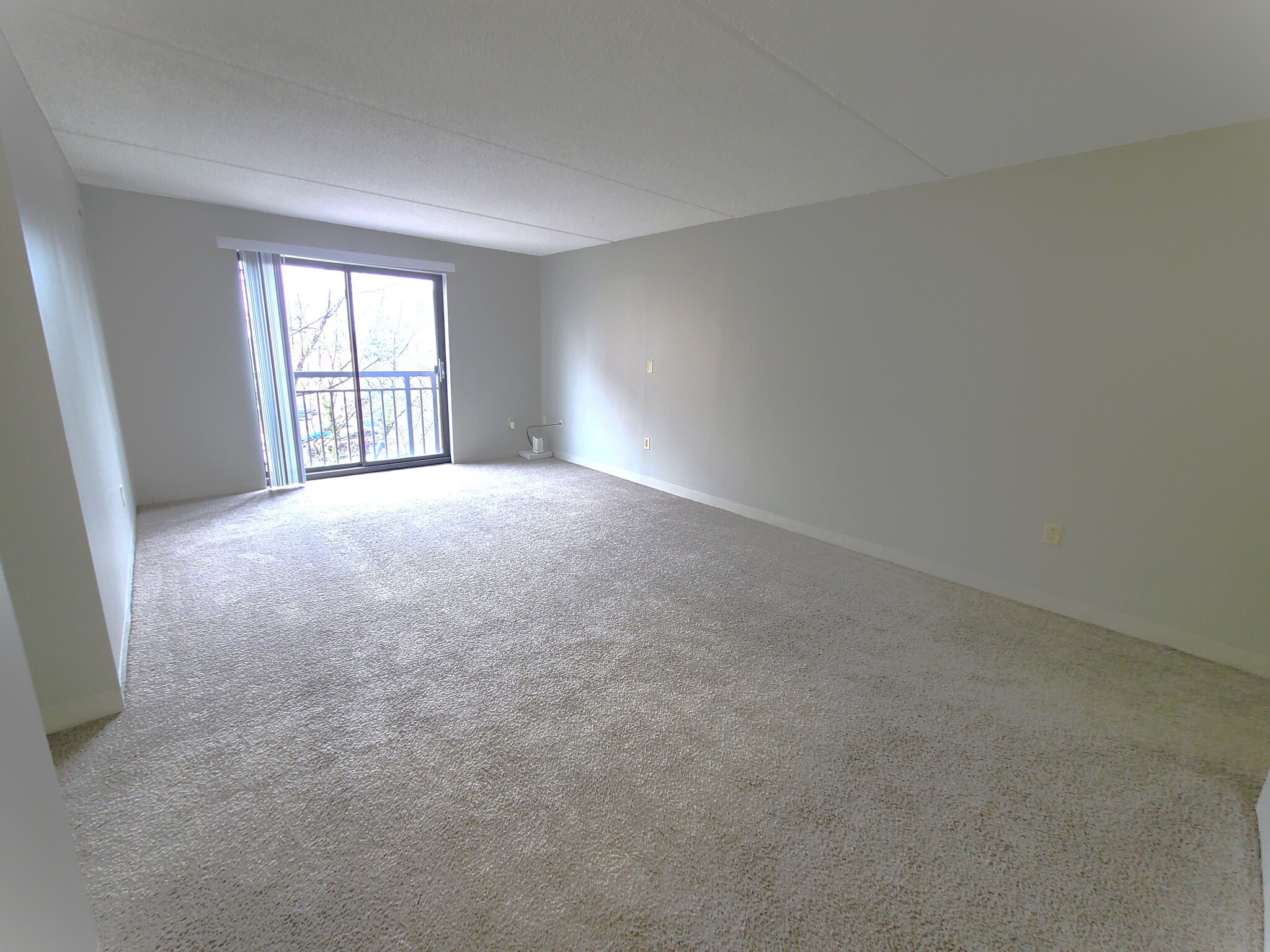 65 North Point Dr, Dorchester