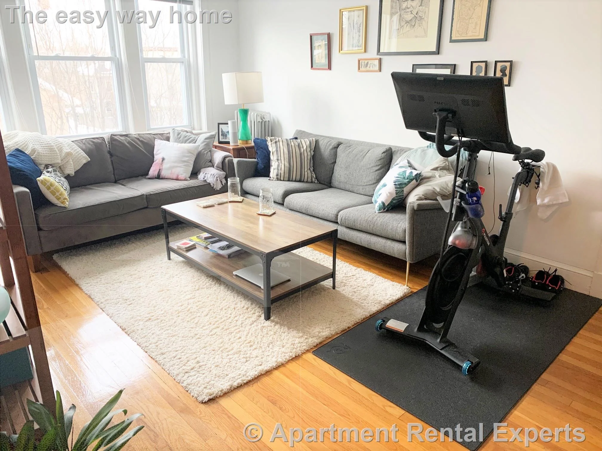 1 Gray St, Porter Square