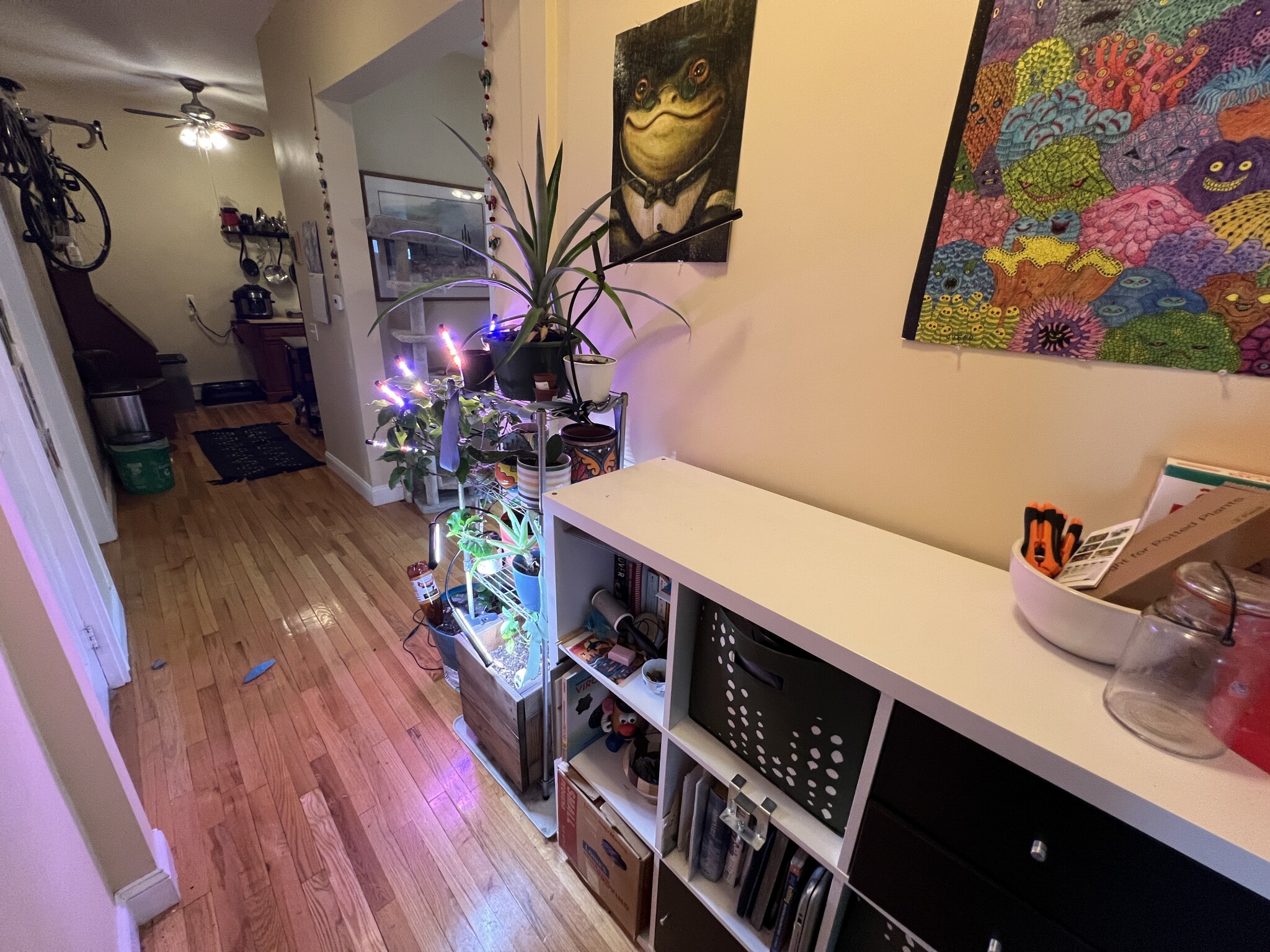 1 Victoria St, West Somerville