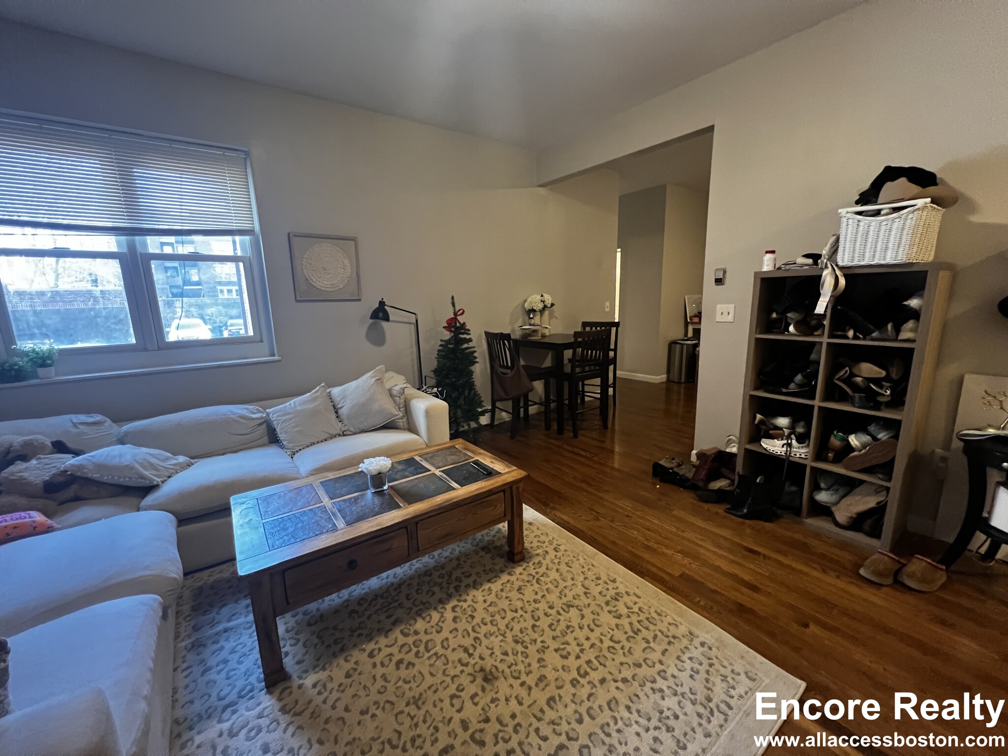 15 Stearns Rd, Coolidge Corner